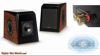 Audience @ CES 2016: Live Stream By EnjoyTheMusic.com