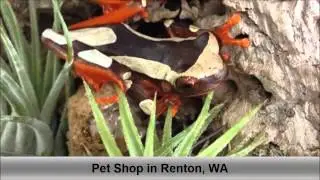 Pet Shop Renton WA Sierra Fish And Pets