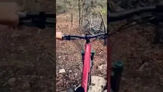 Dropping in on that fresh brown pow!