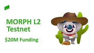 Morph L2 Testnet (Airdrop) Full Guide in Hindi