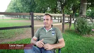 Trainer profile - Luca Oberti Arabians