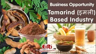 Tamarind Based Industry - Seed Powder - Pulp - Paste - Juice - DPR - Project Report