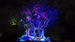Tree of Life Awakening (Fox) night time show #animalkingdom *Subscribe* #disneyworld