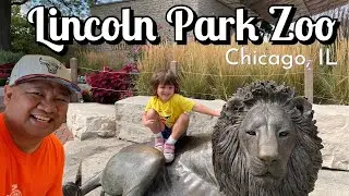 LINCOLN PARK ZOO Tour | Free Zoo In Chicago