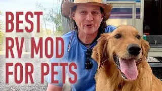 Best RV Accessory for Dogs