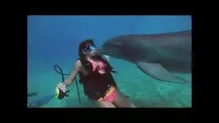 Group of Women Scuba Divers Dive with Dolphins 2000's