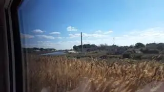 Ligne Ter Nîmes Grau du roi entre Aigues Mortes et Grau du Roi.