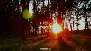 Hozier - Sunlight (slowed + reverb)