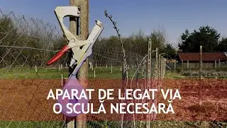 Aparatul de Legat Vie, o scula foarte buna pentru a lega aproape orice in gradina