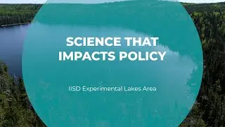 Science that Impacts Policy | IISD Experimental Lakes Area | Tomorrow's Catch
