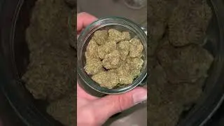 miracle Alien cookies #mac1 #budhunter #strainreviews