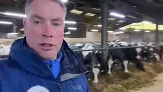 Daily Cow Checks whilst on a nutrition visit.....