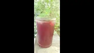طريقة عمل شراب التوت الشامي .. مع ميرنا