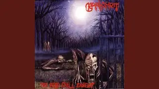 Infection Of Death
