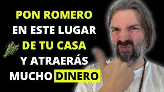 COLOCA ROMERO en Este LUGAR de tu Casa y Atrae MUCHO DINERO a tu vida
