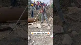 🤯भारत मधला सर्वात विषारी साप( घोणस ) ☠️🐍Russell wiper#wildliferescue #shorts #russellviper #omg