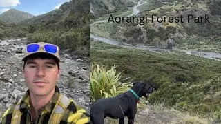Hike into a New Zealand backcountry hut // Mangatoetoe Hut