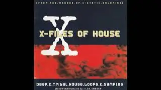 e-Lab - X-Files of House (1996)