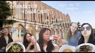 orientation and dawg daze! living on uw campus ｡･ﾟﾟ･ﾟ✧| the last days of summer, mini vlog 9