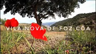 Vila Nova Foz Côa