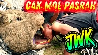 GALAK GALAK‼️ Full Atraksi Macan Ontal Jaranan Wongso Kenongo Live Tulungrejo Glenmore 