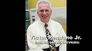 World-class Diagnostic Capability at Columbus Small Animal Hospital