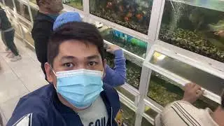 Pinoy in Riyadh Saudi Arabia | An Afternoon in Riyadh Pet Shop