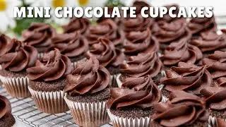 Mini Chocolate Cupcakes from Scratch
