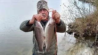 Pesca En Fin Feather Club Palmdale Lake