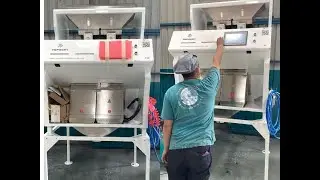 Topsort Color Sorter Sorting For Basil Seed At Customer Site