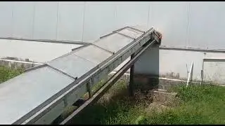 automatic egg collection and grading system in Nepal nawalparasi Dumkibaas plz share subscribe plz