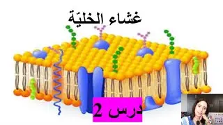 غشاء الخليّة - درس 2 (الإنتشار)