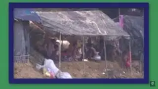 Rain and evictions add to Rohingya misery : Review Current World News