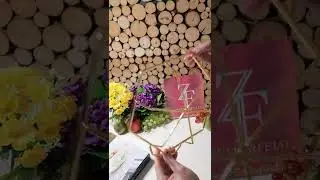 Patera na przystawki X499 - PREZENTACJA