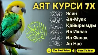 Ризық туралы алғашқы аяттар | Ясин, Аятул Курси, Әл-Мүлк, Ар Рахман, Әл Ихлас, Әннас ~Тарек Мухаммад