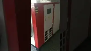 tunnel type microwave lotus leaf tea drying sterilization machine