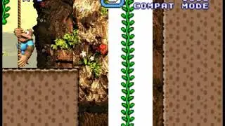 super mario flash 2 ver.c 6-2 kong fused cliffs (DKC3)