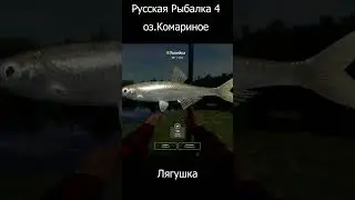 Русская рыбалка 4 оз Комариное Лягушка #лягушка #комариное #рр4  24 06 23