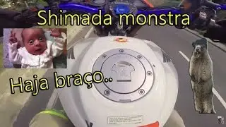 AMAURY POP1000- Shimada monstra..