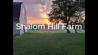 Peace of the Prairie