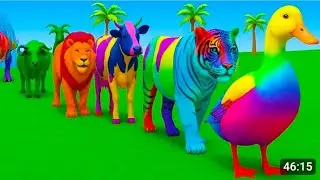5 Giant Duck Cartoon,Cow,Elephant,Tiger,Lion,Dinosaur,Paint Wild Animals Crossing Fountain Animation