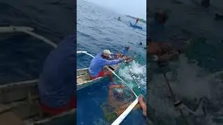 buhay karagatan