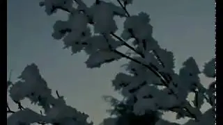 Золотинка mp4