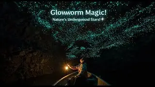Waitomo Glowworm Caves: Nature's Starry Wonder | Ancient Insights