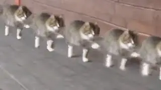 around the world