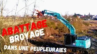 De l'abattage et du broyage pour pr&eacute;parer cette peupleuraie a la plantation prochaine