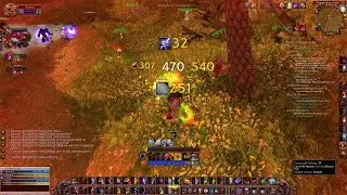 SoD Phase 2 Enhancement Shaman PvP 