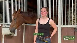 Veterinary surgeon Birte Bauer in Yorton stud talks Precision Microbes equine complementary feed