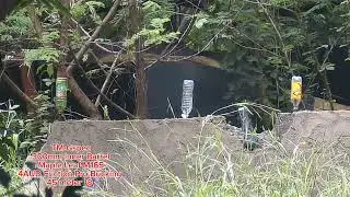 Testing of Newly installed 4AUD Hop up Bucking for Sniper at open area.😘😘☺️