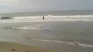 surfing friends